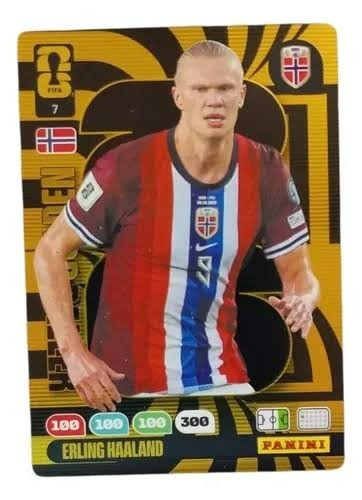 Erling haaland panini - erling,